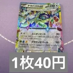 ポケカ　rr 特価　テラパゴスex 残3枚
