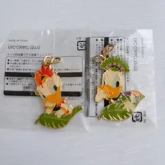 ディズニーランド メタルチャーム ドナルド デイジー