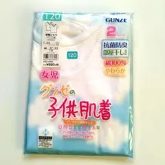 GUNZE 女児 半袖シャツ 2枚組 120