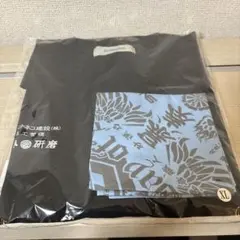 Item thumbnail for item 81bc8c65-25b4-4e1f-91d2-305340ac8f06