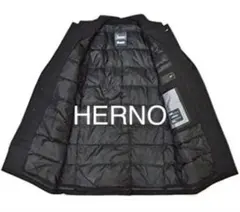 2026年最新】ヘルノ ステンカラー ダウンの人気アイテム - メルカリ