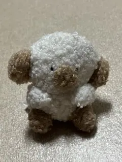 じょせまる　らて　ぬいぐるみ