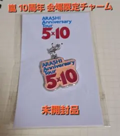 ARASHI Anniversary Tour 5×10 チャーム
