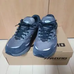 【MIZUNO】WAVE RIDER β GTX　28cm