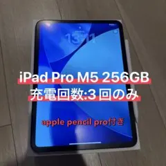 iPad Pro M5 11インチ 256GB Wi-Fi + Cellular