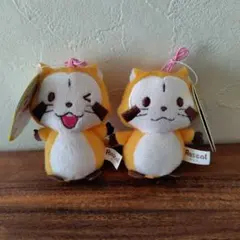 Item thumbnail for item 3d73a614-6130-4ba9-aafe-df5873feb6a2