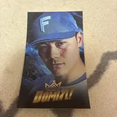 北海道日本ハムファイターズ 清宮幸太郎 ステッカー