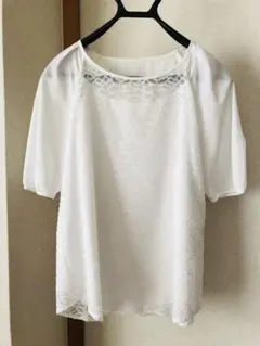 カットソー トップス ブラウス　WORLD Reflectのサムネイル