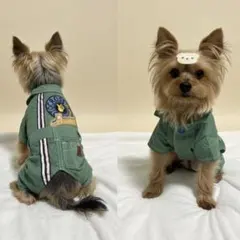 Item thumbnail for item 267b3e12-c4c8-4b6a-86ba-068ced0fe443