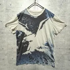 X4 アメリカンイーグル AEO バードグラフィック ビッグアートTシャツ US