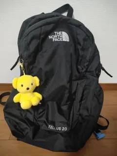 美品★THE NORTH FACE TELLUS 20 ブラック リュック