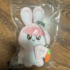 ウジ　ぬいぐるみ　40センチ　Woozi seventeen bonyang 40cm seventeen ウジ WOOZIぬいぐるみ本体 - メルカリ