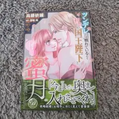 Item thumbnail for item aad08b62-ce8e-4f8b-94a6-5f7a24f103df