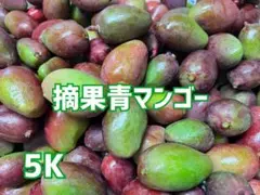 沖縄産摘果マンゴー5キロ Xoài xanh20g〜50g - メルカリ