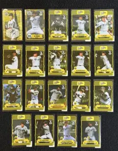 阪神タイガース オンサイトカード 直筆サイン ノーマルカード セット