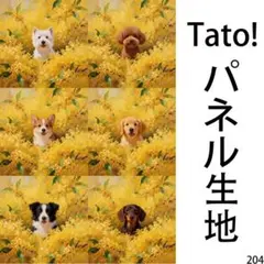 Tato !(=^・^=)パネル生地 犬柄 金色の花とワンちゃん D204