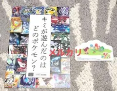 キミが遊んだのはどのポケモン？小冊子♡ぽこあポケモン非売品シール付き
