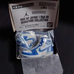 NIKE Air Jordan 1 エアジョーダン STORM BLUE ガチャ