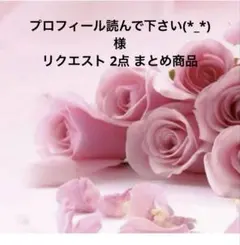 プロフィール読んで下さい(*_*)様 リクエスト 2点 まとめ商品