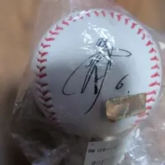 GIANTS サイン入り野球ボール