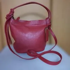 ♥️保管品セール♥️２wayショルダー牛革