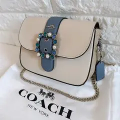 未使用 新品 COACH コーチ ディズニー コラボ チェーン ショルダーバッグ