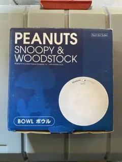 未使用 PEANUTS Snoopy & Woodstock ボウル スヌーピー