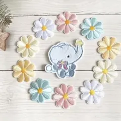 ワッペン11枚セット