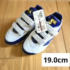 Item thumbnail for item d835919f-848f-4da3-bbba-56cad99f7e35