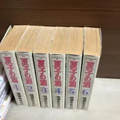 夏子の酒　デラックス版　全巻セット