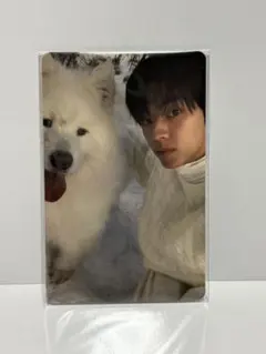 TWS ドフン lastbell weverse 店舗特典 ①