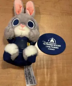 新品未使用】ディズニーランド スプラッシュマウンテン うさぎどん