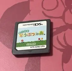 DS おいでよどうぶつの森