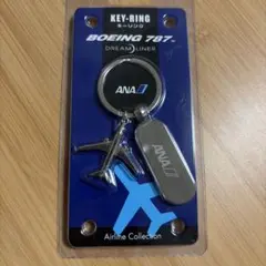 ANAボーイングBOEING787DreamLiner メタルキーリング　新品