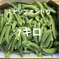 スナップエンドウ 1キロ