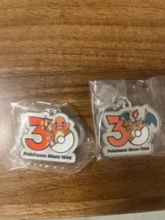 ポケモン 30周年メタルチャームマスコット2個セット