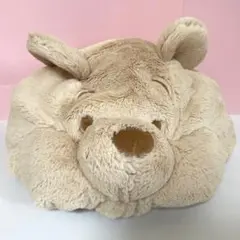 Item thumbnail for item 94ff70dc-54c1-49d8-b961-cbd37f61db23