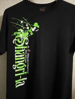 acid black cherry ミュージシャン