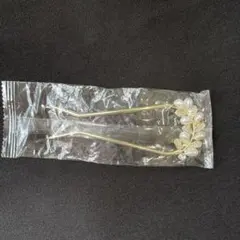 Item thumbnail for item b20f59cf-f57f-4a14-80d0-1c185cc1d36f