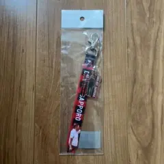 北海道コンサドーレ札幌 ボンフィン ミシャ　ペトロヴィッチ