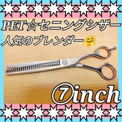 Item thumbnail for item 24587b09-010a-446f-89f1-2b794a09bf17