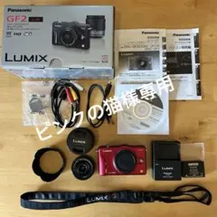 デジタル一眼カメラ/ DMC-GF2W Panasonic LUMIX