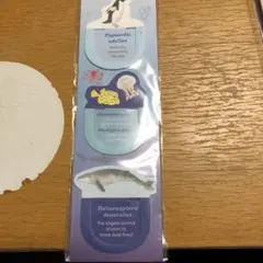 Item thumbnail for item 2633c120-4a65-4838-8714-bca516930752