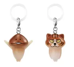 なめこ栽培キット めじるしアクセサリー2