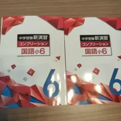 （新品・未使用）中学受験新演習 国語小6 2冊セットのサムネイル
