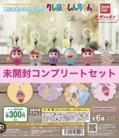 クレヨンしんちゃん めじるしアクセサリー2 全6種セット