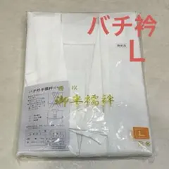 Item thumbnail for item 5fbc2c2c-b039-437f-816f-56bfb61f016e