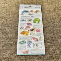 【新品未開封】カミオジャパン 3D大人の図鑑シール ウミウシ編のサムネイル