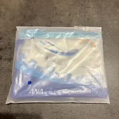 Item thumbnail for item 42a51c73-489d-4236-9205-fe2b37e59b45