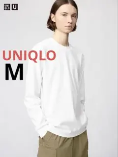 Item thumbnail for item 6dab20ff-50bf-46d6-9ac6-2446c99df549